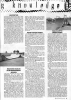 Skateboard News November 1989